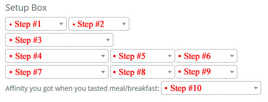 setup guide